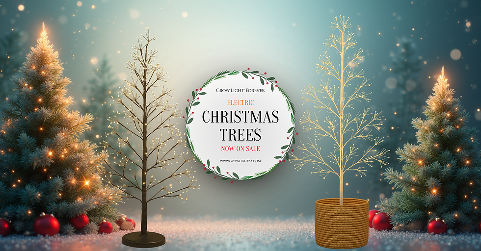 The Weekend Magazine® (1).png