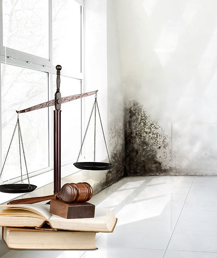 Awaab's Law (1).jpg