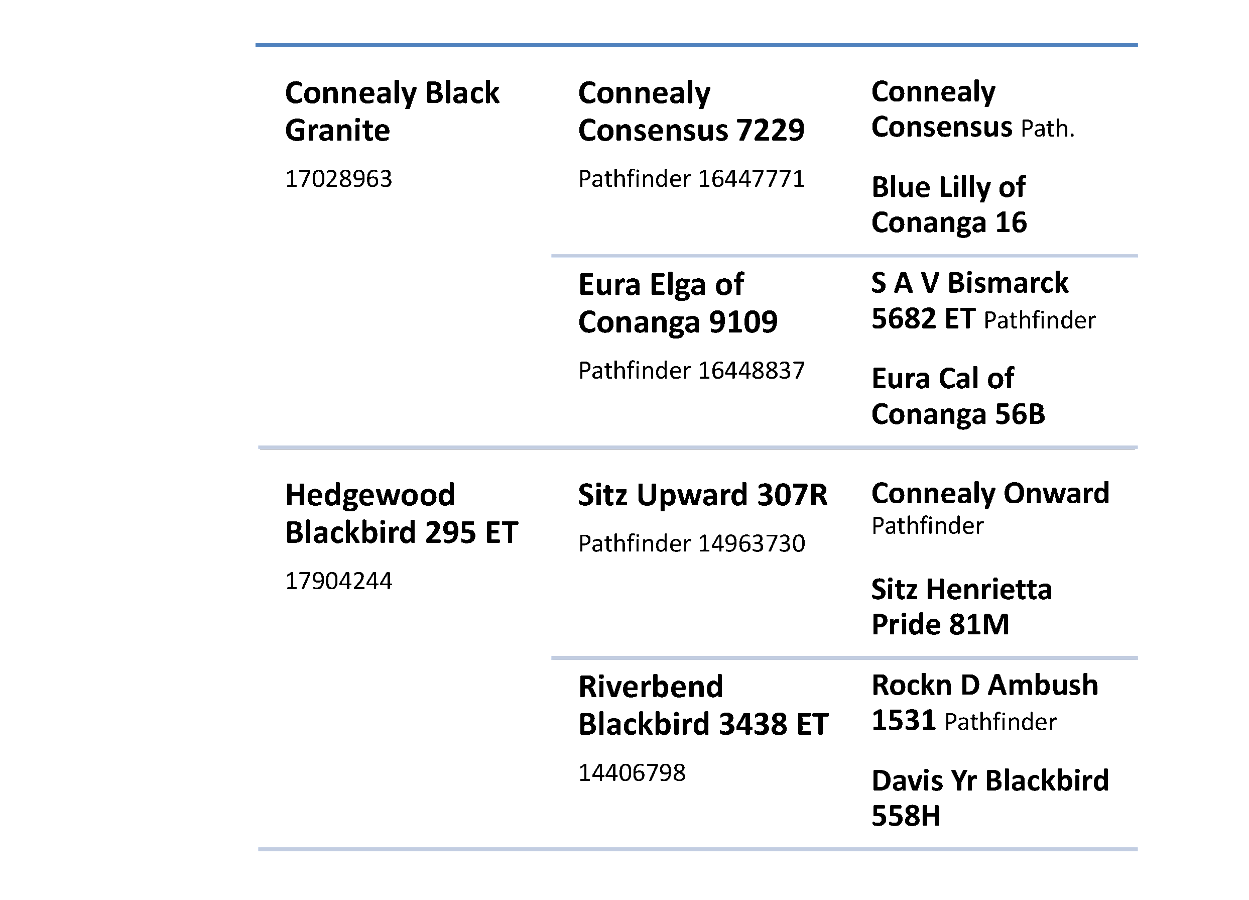 Heirarchy Template 546.gif