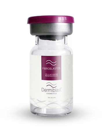 Imagen Producto de Fibroblastos de Células Madre Mesenquimales de Demiblast Cosmetics