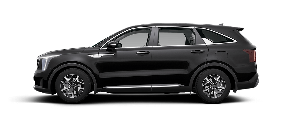 AURORA BLACK PEARL