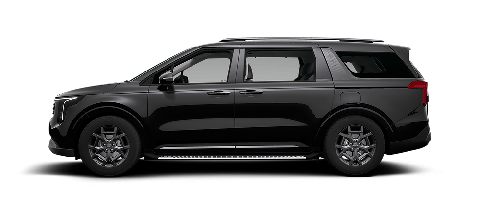 AURORA BLACK PEARL