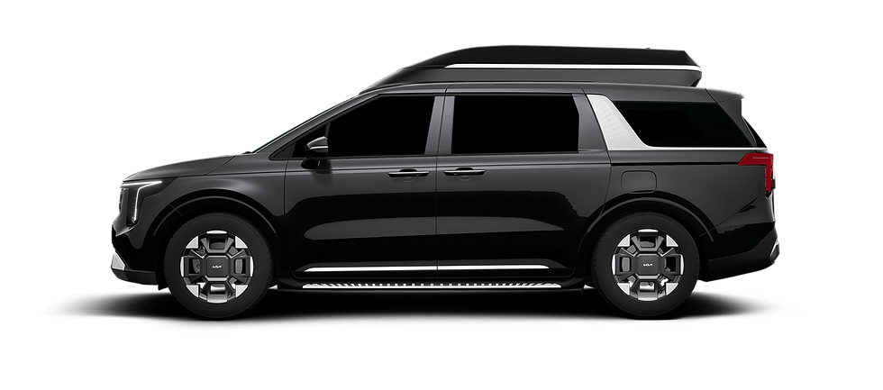 AURORA BLACK PEARL