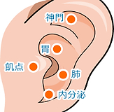 耳つぼ