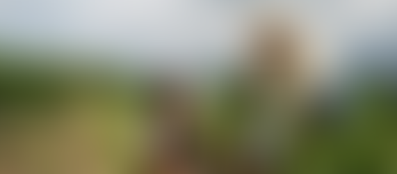 Você já ouviu falar sobre CSA? Comunidades que Sustentam a Agricultura.