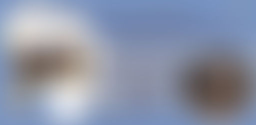 【オンラインイベントのお知らせ:11月30日20時〜】PEER time vol.3 -所沢✖️セネガルでのユニバーサルスポーツを通じた共生コミュニティ実践から学ぶスポーツ国際協力。ローカルに実践し、グローバルに考えよう!-