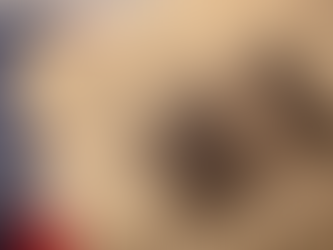 POLL: Should the Bible Affect My Decision Making as Senator?