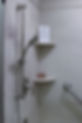 IMG_2175.jpeg