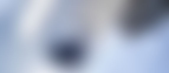 TL Januar / Spurbob WM 