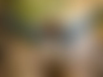 From Overwhelm to Clarity: “Sarah’s” Journey Through Holistic, Body–Mind Counselling