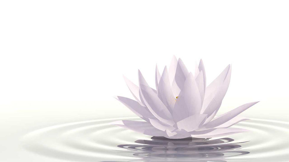 Reflexions Holistic Wellness Logo