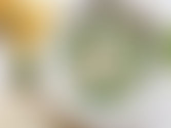 Ensalada de pasta fría con salsa de yogur: una receta suave y ligera para los días de calor