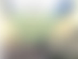 Objektive und verbindliche Entscheidungsgrundlagen statt Schönrederei