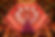 XMAS DECORATIONS - THE DOME - 026.jpg