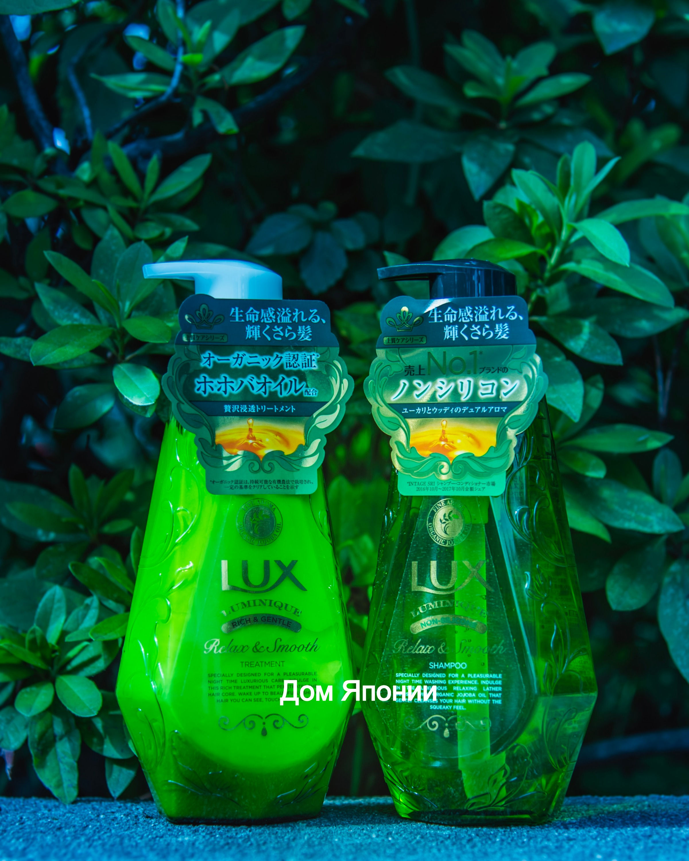 Шампунь и кондиционер