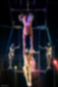 The Flying Michaels - Wintercircus Royal 2025-2026- foto 8.jpg
