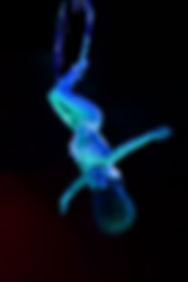 Diana Boiachin- Wintercircus Royal 2025-2026- foto 6.jpg