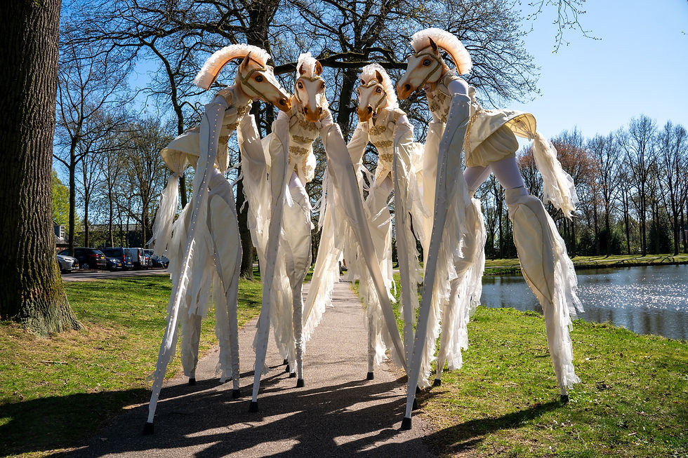 MAGIC WHITE HORSES- LOCO STRADA- FOTO 1.jpg