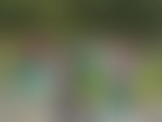 Tag 1 - Das Lager beginnt