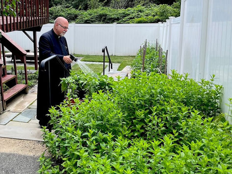 The Master Gardener