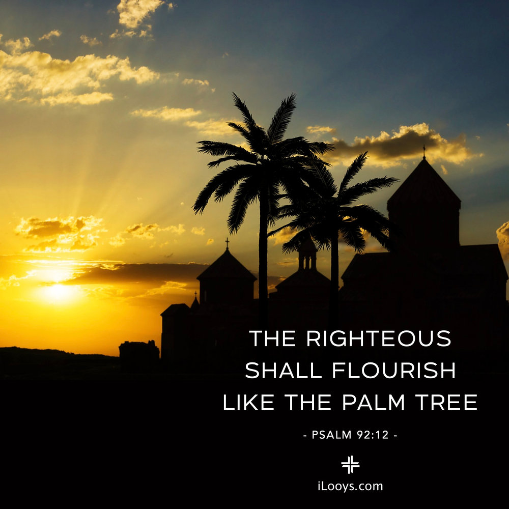 Palm Tree Renaissance Flourish Like the Palm Tree