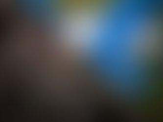 Առավոտյան Սաղմոս