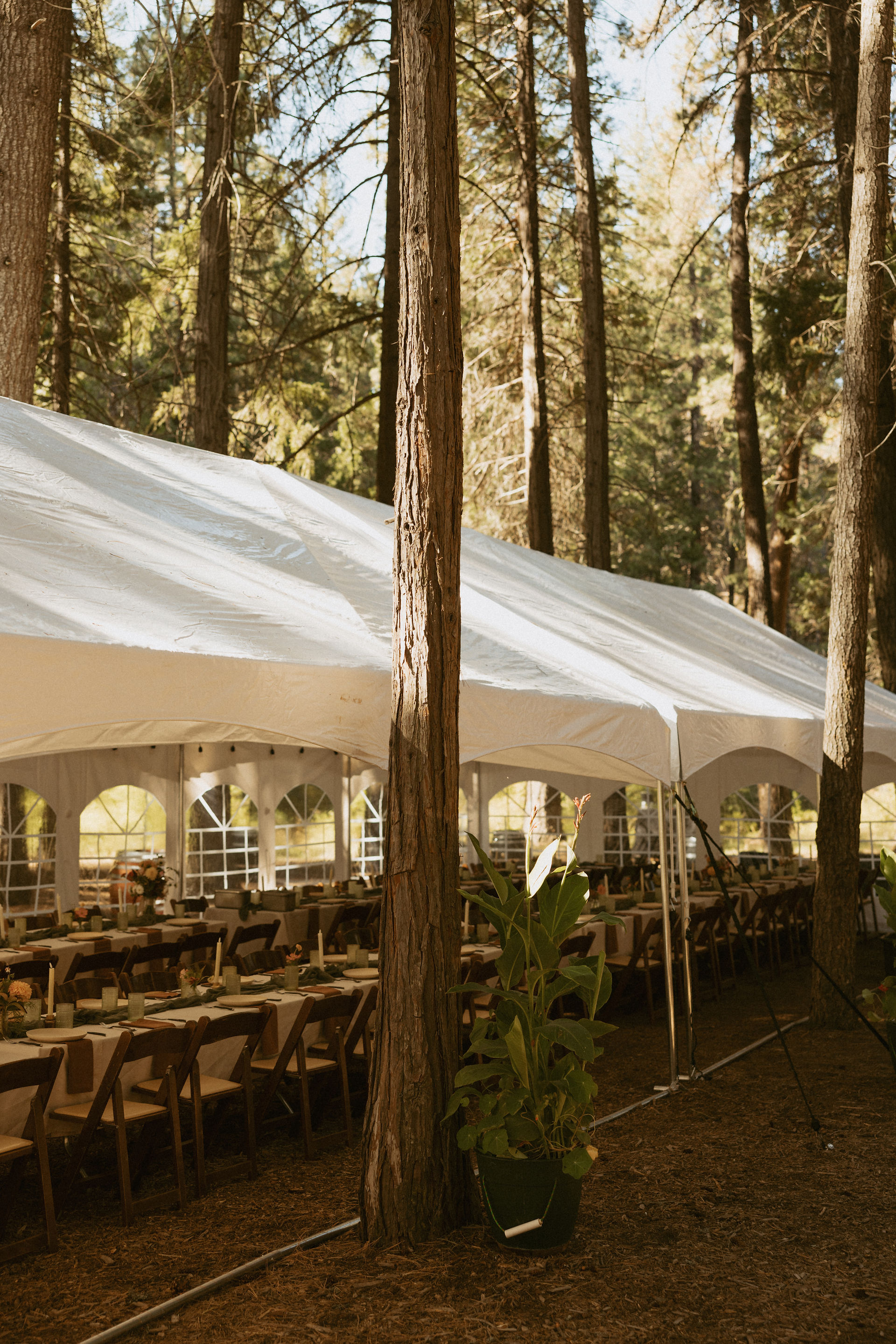 Oregon PNW Intimate Adventure Campground Wedding
