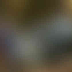 Oregon PNW Intimate Adventure Campground Wedding