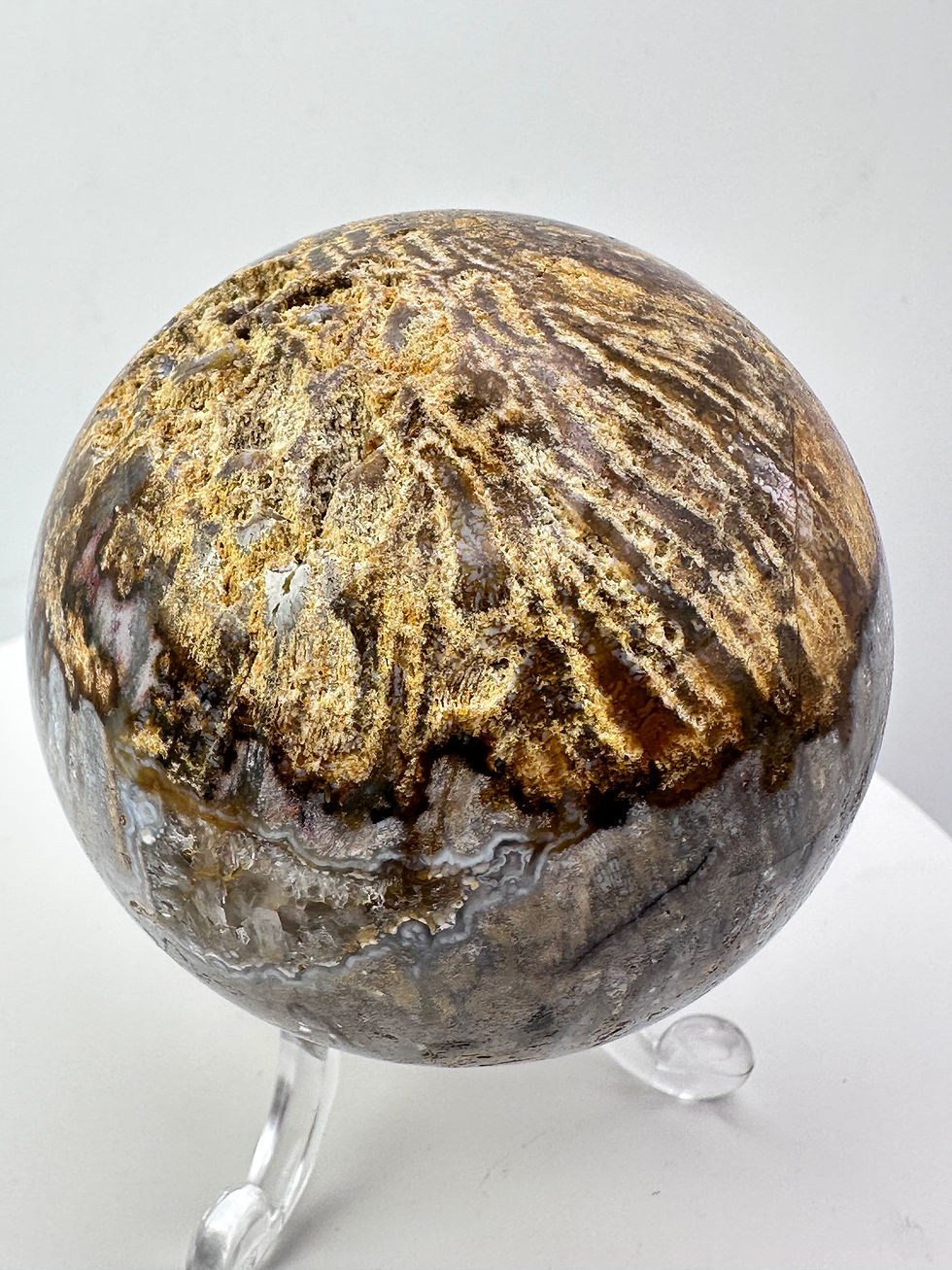 Thumbnail: Coral Fossil Sphere