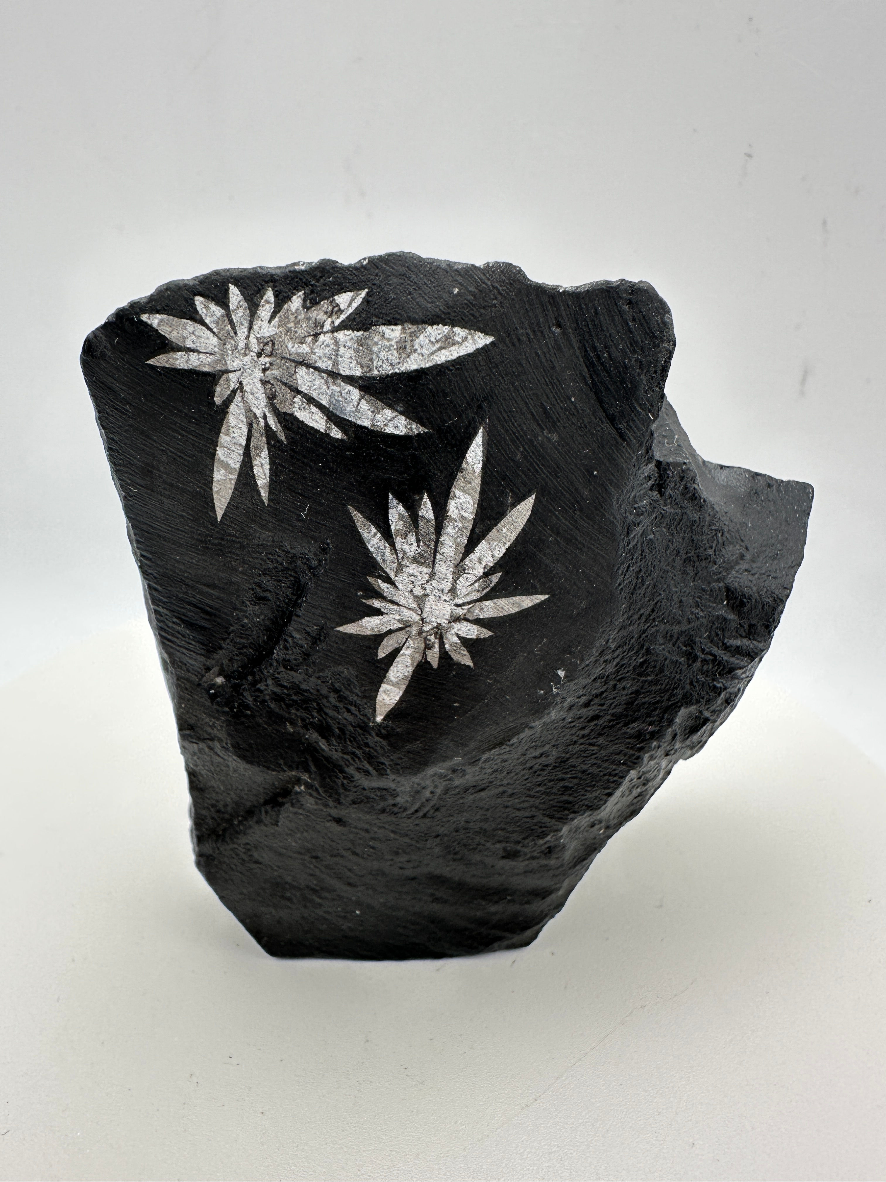 Natural Chrysanthemum Stone Raw Specimen