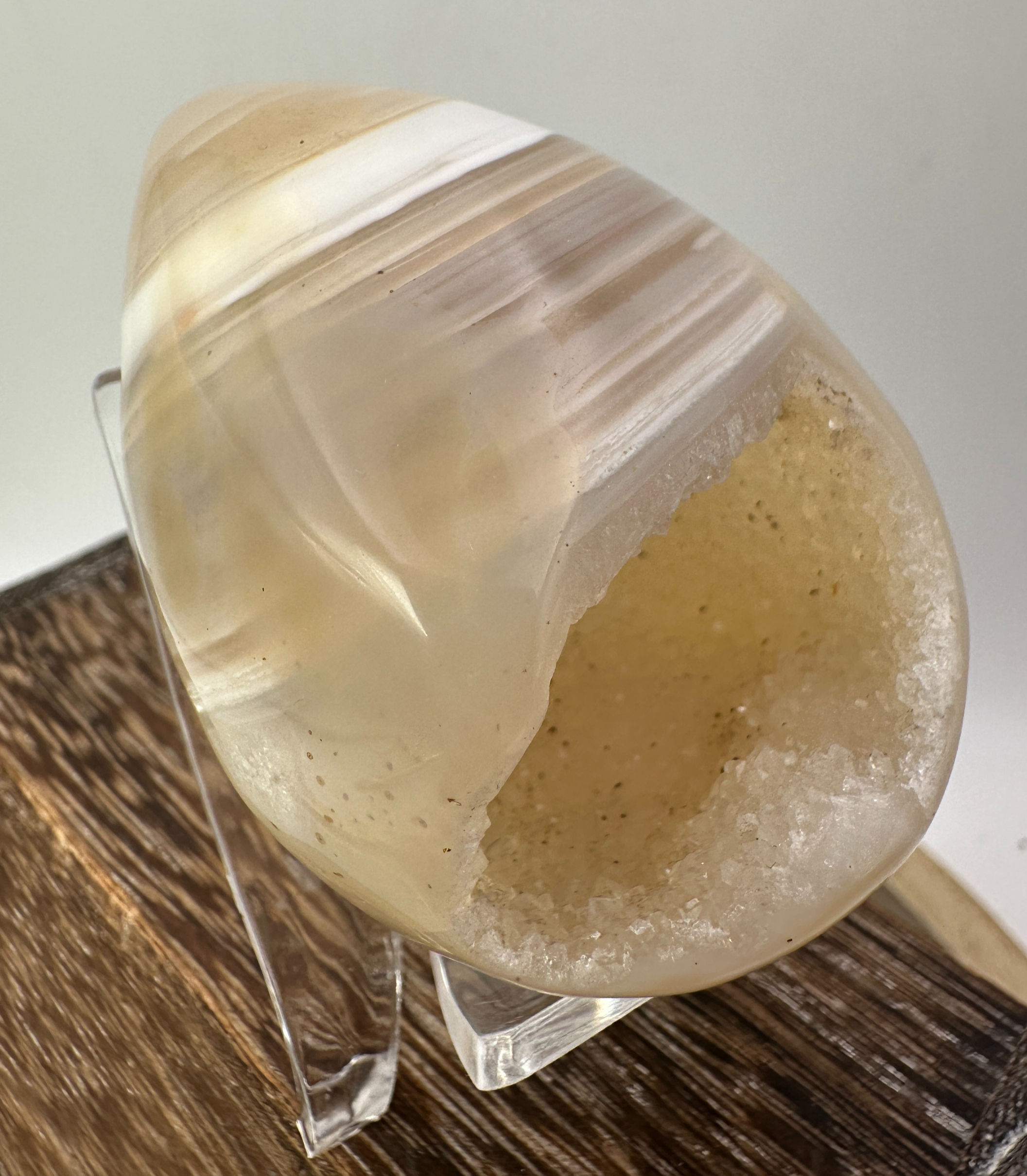 Agate Egg Geode