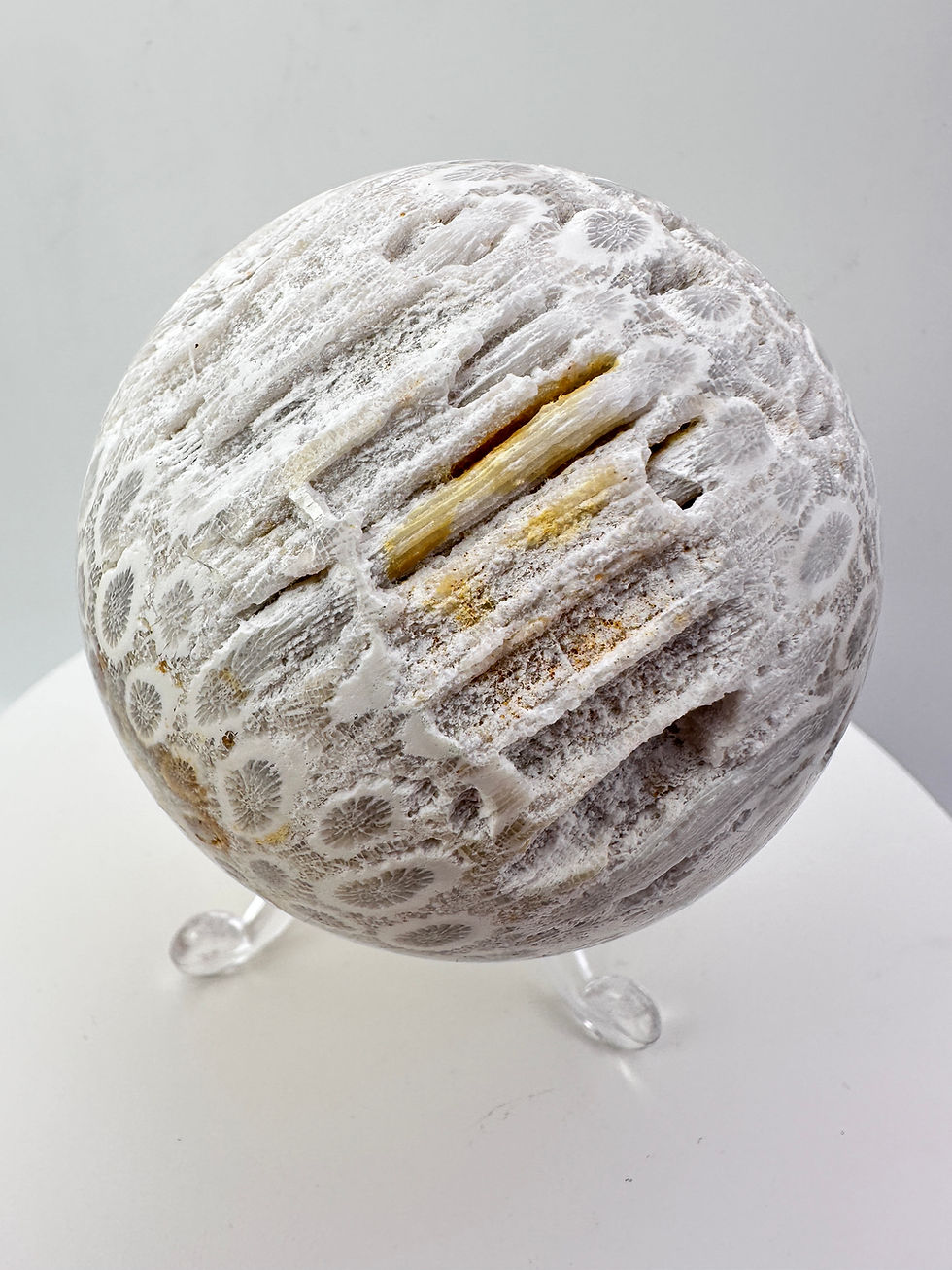 Thumbnail: Coral Fossil Sphere - 405 grams