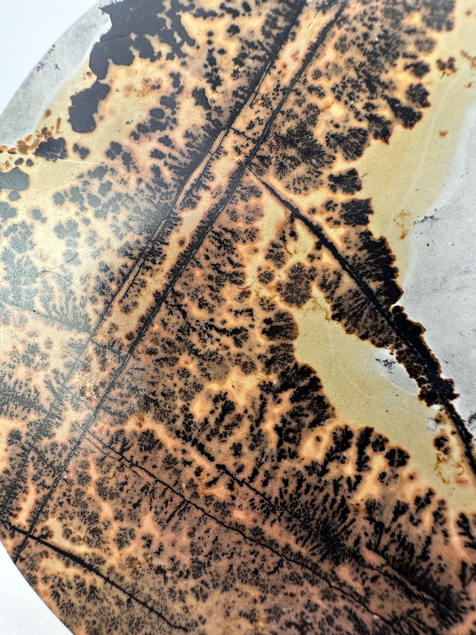 Thumbnail: Picture Jasper Disc, Warm Ochre, Black Dendritic Landscapes and Sage Grey