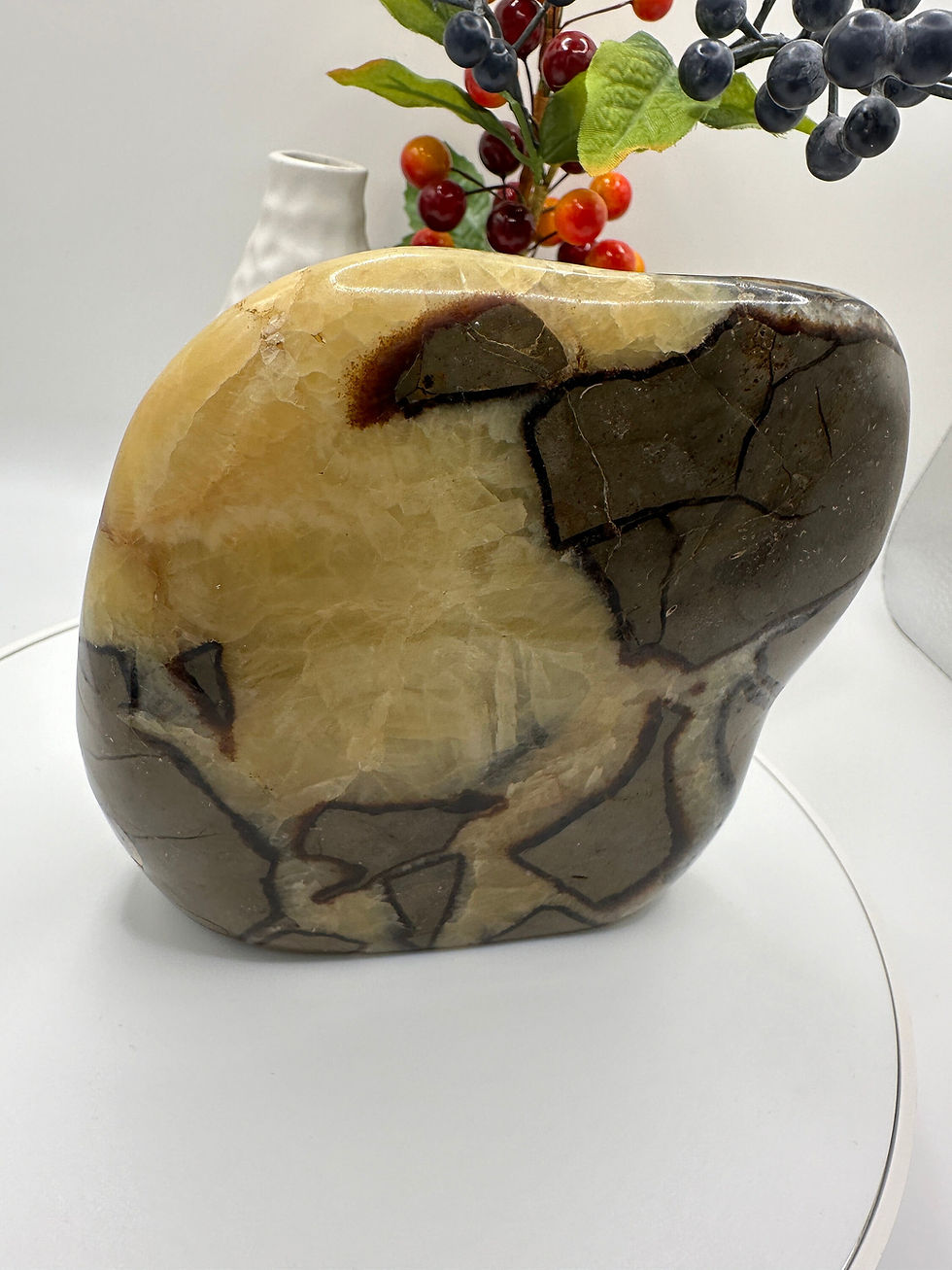 Polished Septarian Free Form
