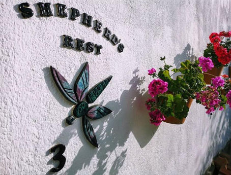 Roots and Wings: Finding Peace, Family, and Freedom back at Shepherd’s Rest 
