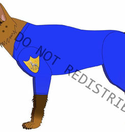 1.JPG