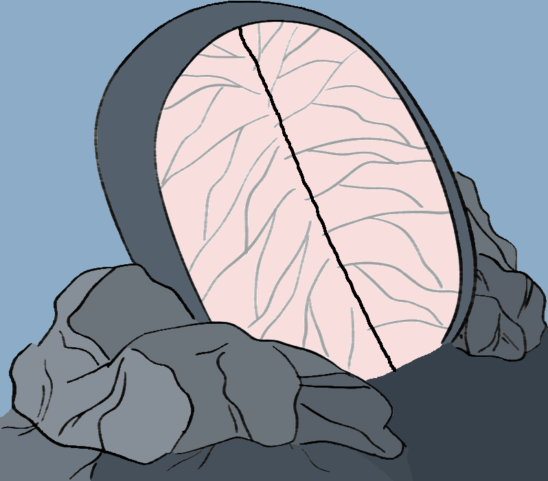 SummoningPortal1.gif