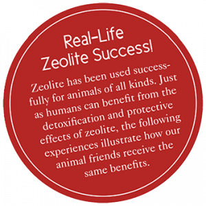 Zeolites & Pets