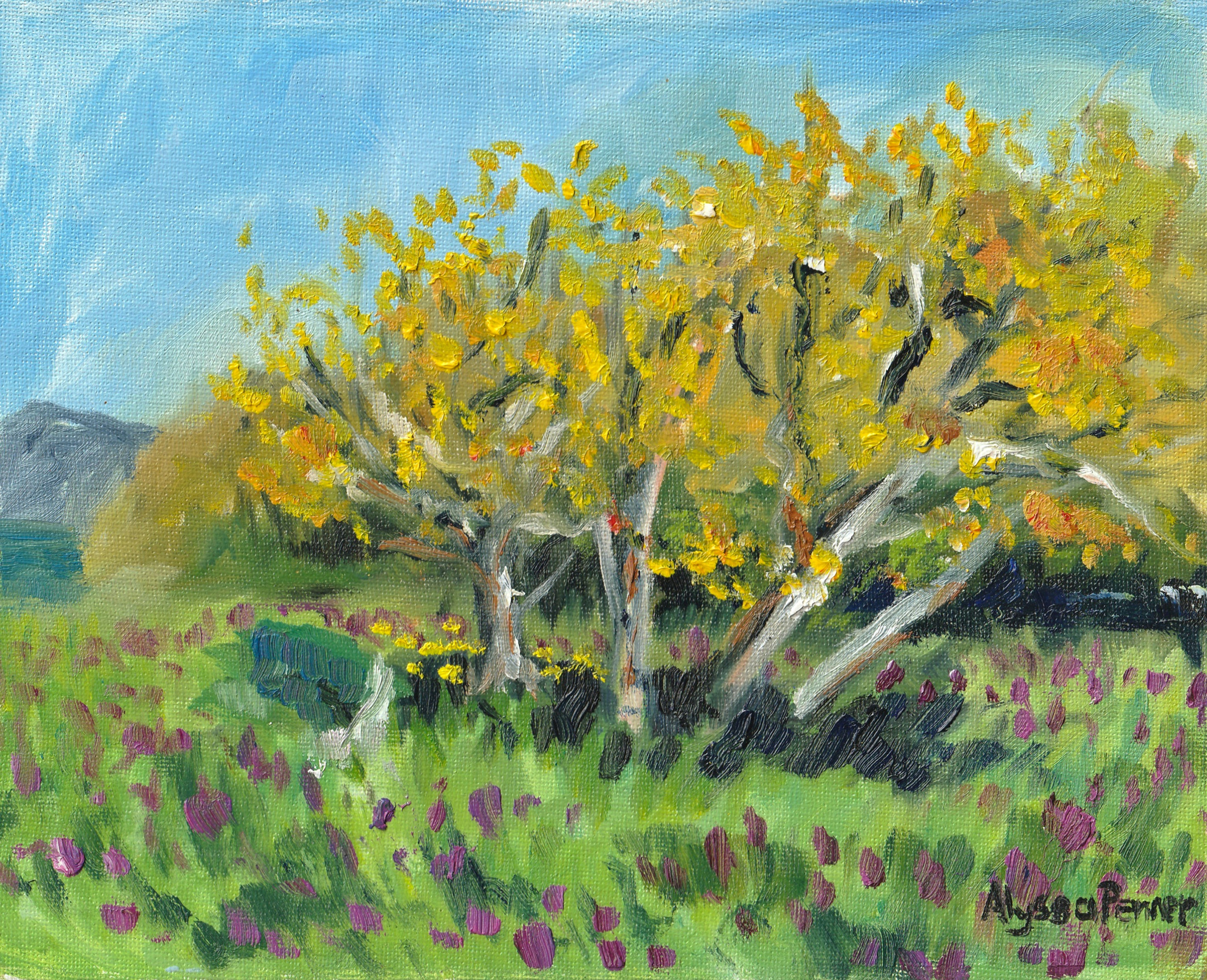 Spring at Holland Point Park 