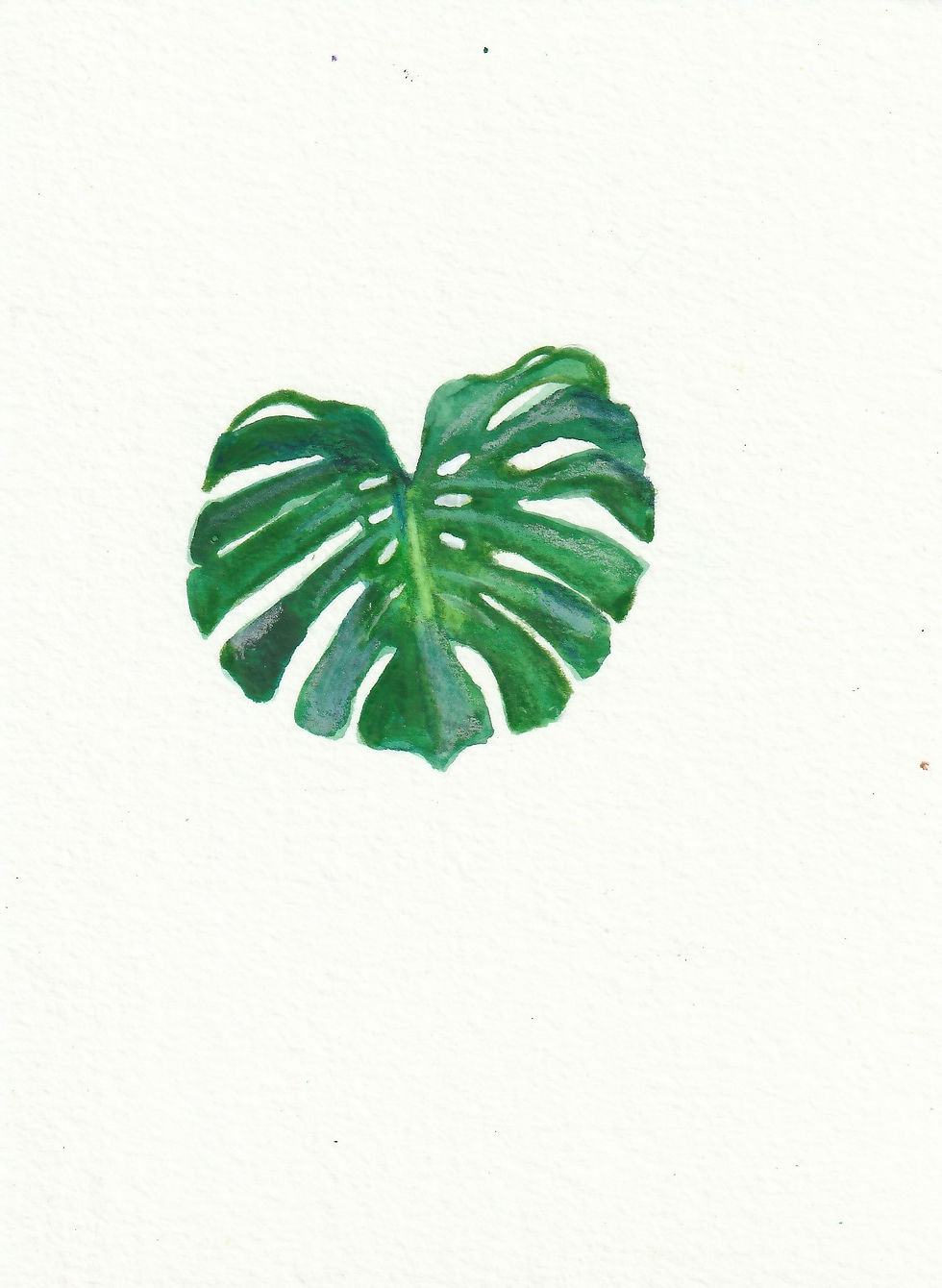 Monstrea leaf 
