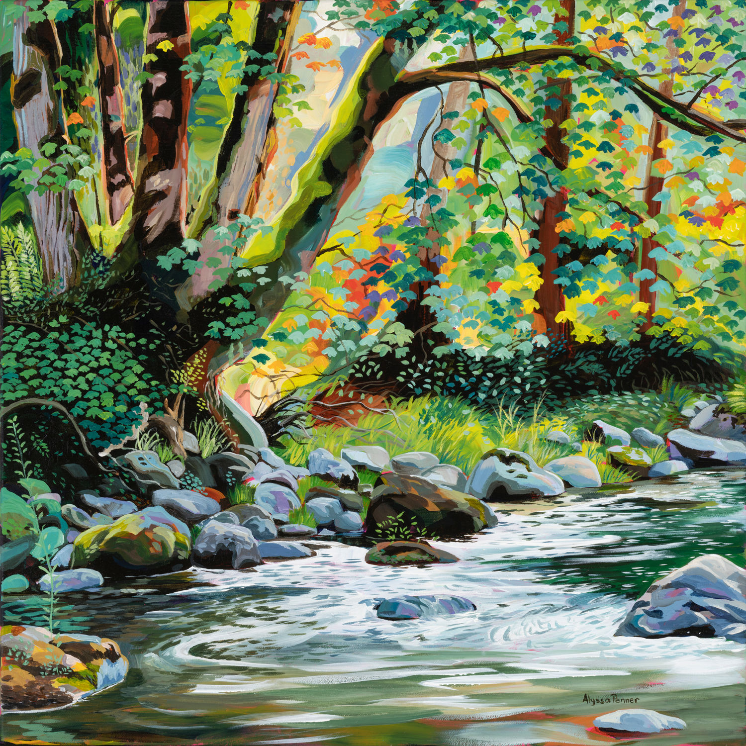 Colours of the Wild Prints