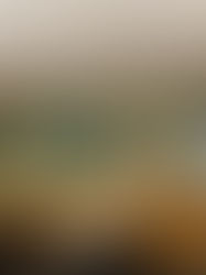 Art Display at up Mount Washington