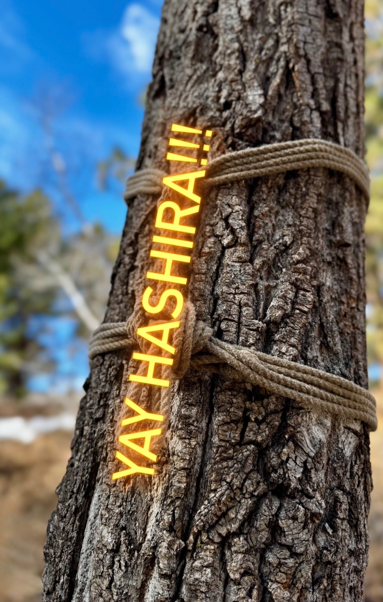 Hashira Attachment Points Bundle (7 videos)
