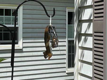 SHAKE A TAIL FEATHER - PART TWO