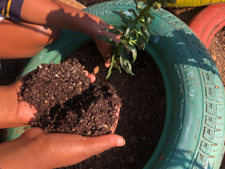 My Social Action Project