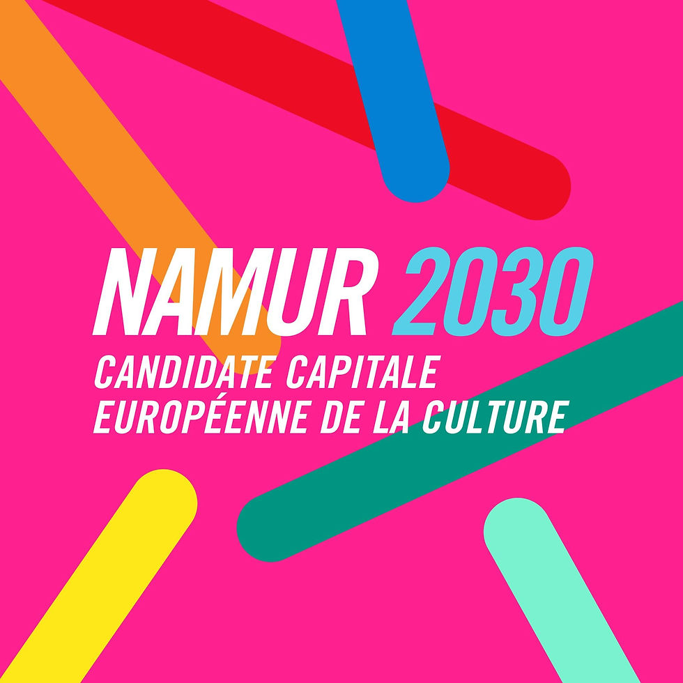 Visuel « Namur 2030 – Candidature Capitale européenne de la culture », fond rose avec formes colorées.