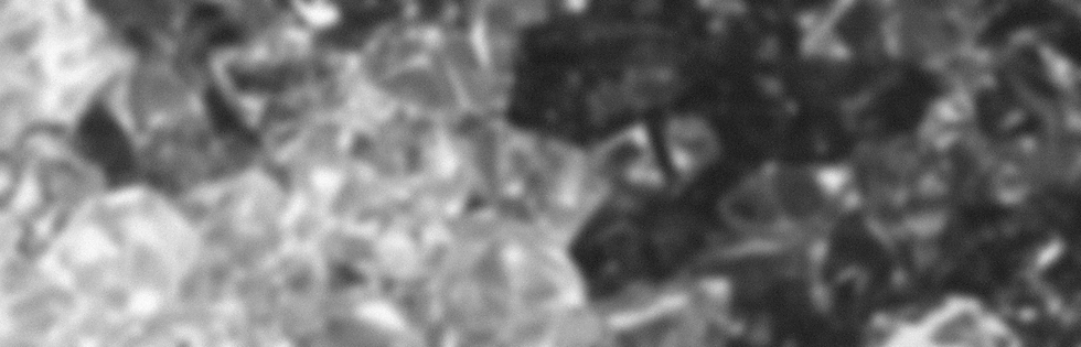 Screenshot 2023-04-07 at 11.58.24 PM.png