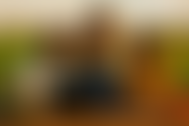 Jeunes entrepreneurs ruraux burundais utilisant un ordinateur portable dans un champ, accompagnés de produits agricoles, illustrant le programme PRODER soutenu par le FIDA et BBA.