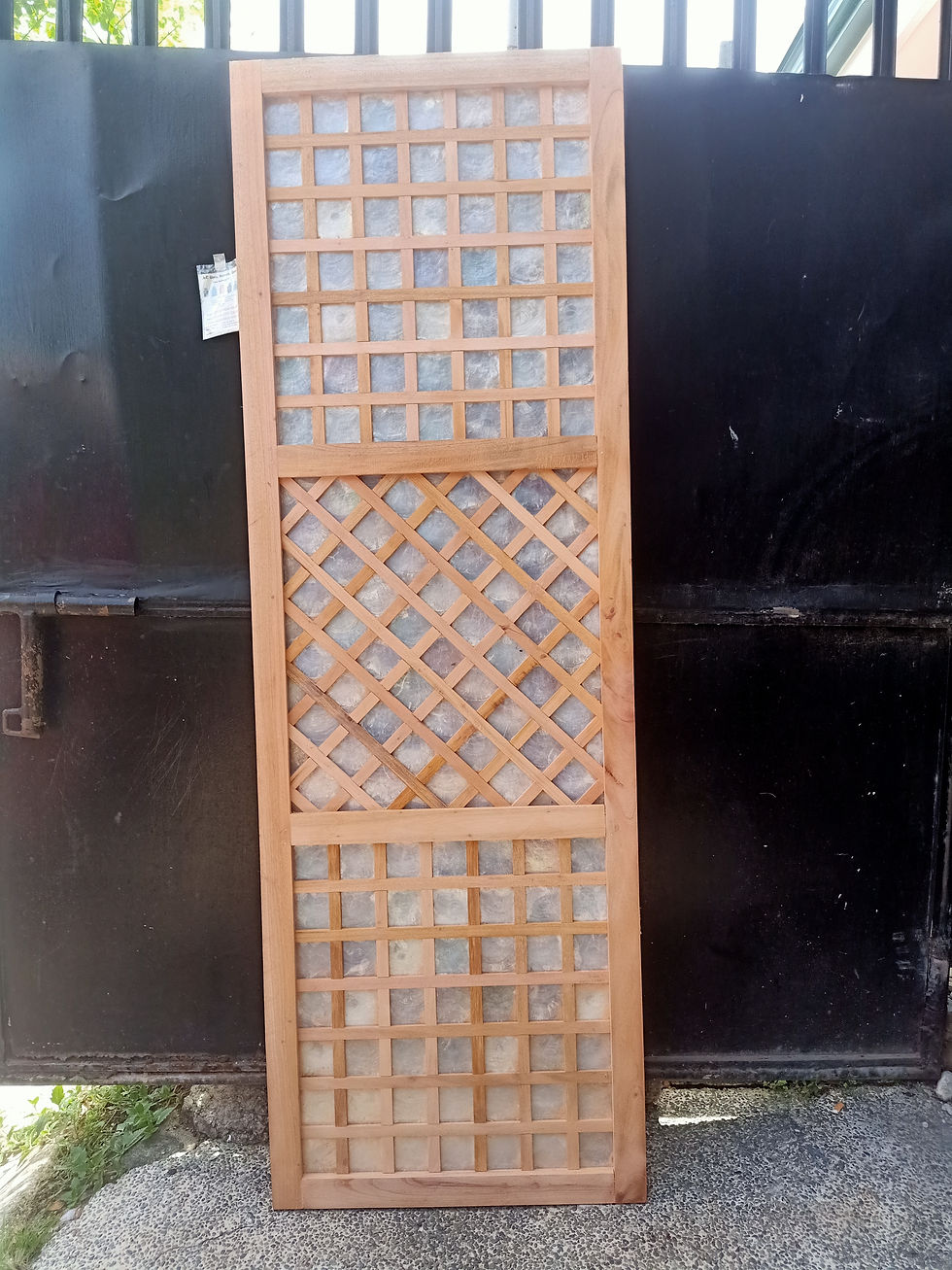 Thumbnail: CAPIZ DIVIDER