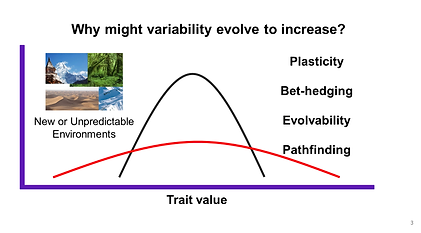 Variability increase.png